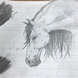 Meet your Posher, Annabel